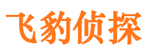 麦积区市侦探公司